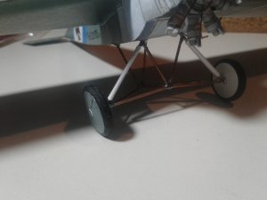 20190721_115455.jpg