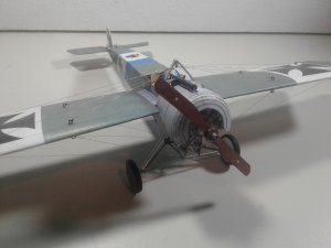 20190726_164203.jpg