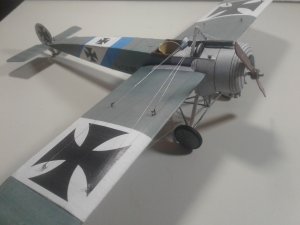 20190726_164339.jpg
