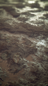 Mud-Field-Small.png