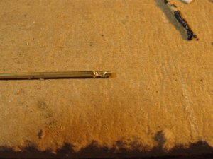 IMG_4824.JPG
