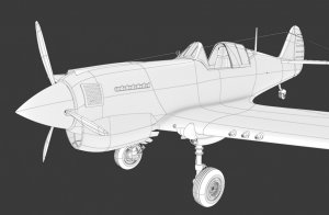 P40.jpg