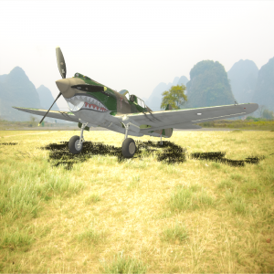 P40b.png