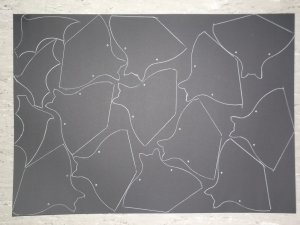 DSCF5584.jpg