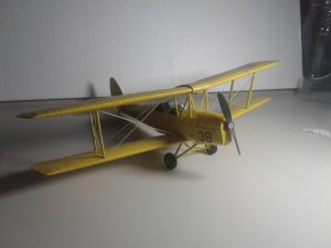 20190615_092329.jpg