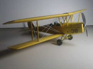 20190615_092621.jpg