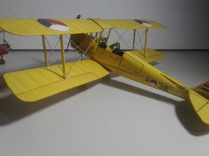 20190615_100156.jpg