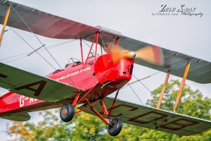 D71_8094.jpg