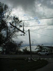 11_Toothpick_Powerpoles.jpg