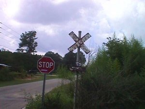 crossing.jpg