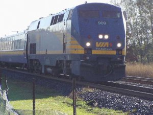 rail fan 2.jpg
