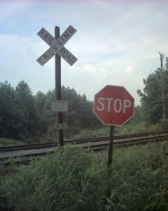 DS2_0482.jpg