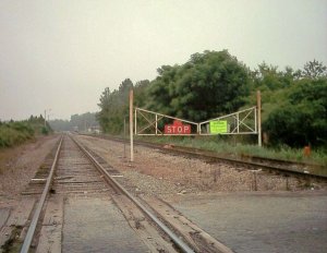 DS2_0498.jpg