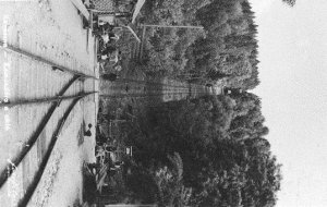 kovaszna1024i.JPG