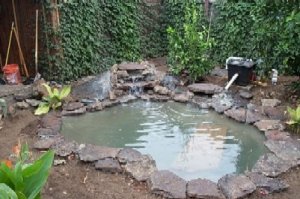 pond5.jpg