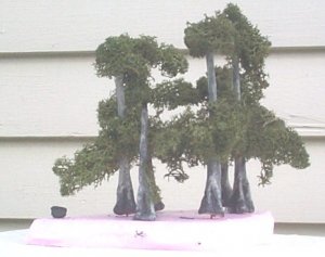 cypress3.jpg