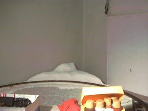 Nov06002.JPG