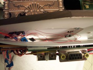 100_4805.jpg