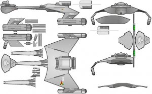 d7 (2).jpg