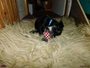 DSCN3108.jpg