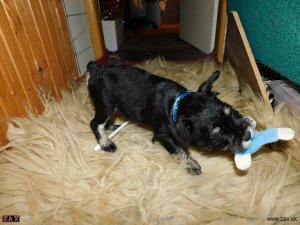 DSCN3120.jpg
