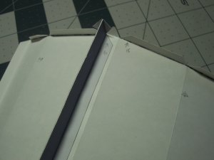 050.JPG