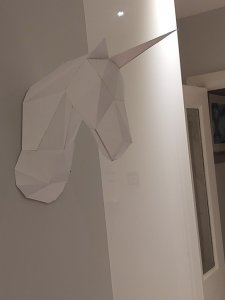 20200415_212603 (Medium).jpg