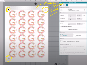 Cameo.png