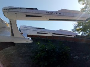 IMG_20200515_120254012 50.jpg