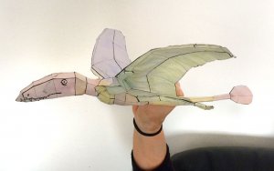 paper_dimorph_03_small.jpg