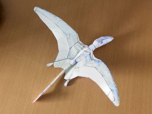 paper_dimorph_04.jpg