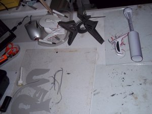 100_1841.JPG