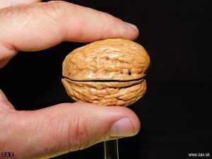 DSCN3885.jpg