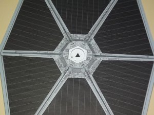 DSCF7717.jpg