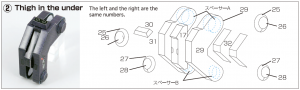 Section 2 (THIGH).png