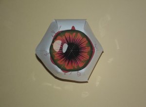 DSCF8241.jpg