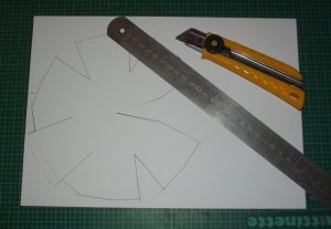 DSCF8247.jpg