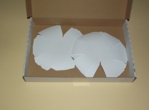 DSCF8250.jpg