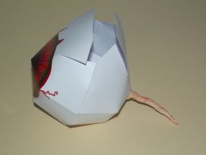 DSCF8270.jpg