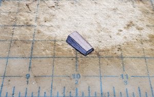 20201101_141609.jpg