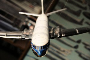 nose close up.jpg