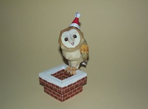 DSCF8570.jpg