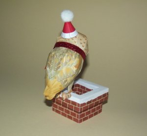 DSCF8583.jpg