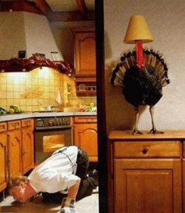 turkey.jpg