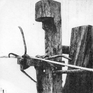 Sessoms21.jpg