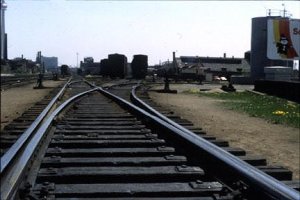 track8.jpg