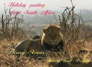 Xmas  card lions.jpg