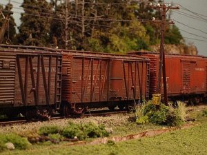 lners220dg.jpg