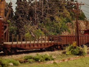 lners220lg.jpg