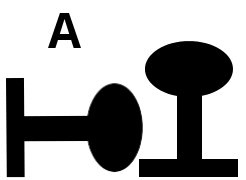 Rail A.jpg